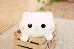 Peluche chat kawaii chaton