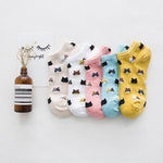 chaussette chat kawaii 5 paires motif chat