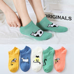 chaussette chat kawaii 5 paires chat coloré