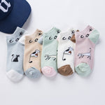 chaussette chat kawaii 5 paires cat coloré