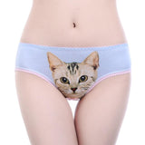 Culotte chat kawaii papillion