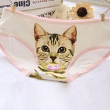 Culotte chat kawaii papillion