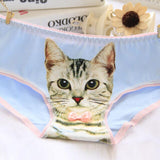 Culotte chat kawaii papillion