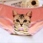 Culotte chat kawaii papillion