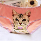 Culotte chat kawaii papillion