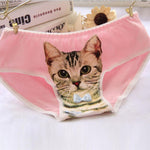 Culotte chat kawaii papillion