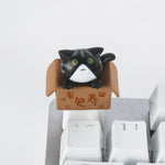 Keycap chat kawaii neko box noir