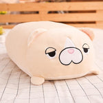 Peluche chat kawaii géante oreiller